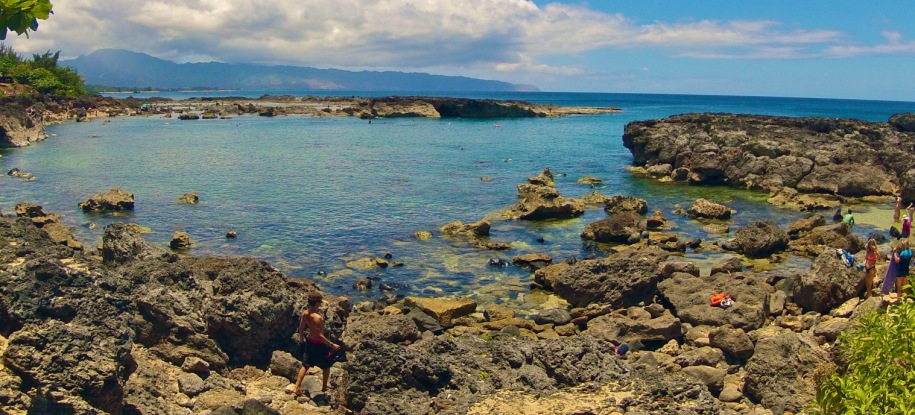 Snorkel at Shark’s Cove